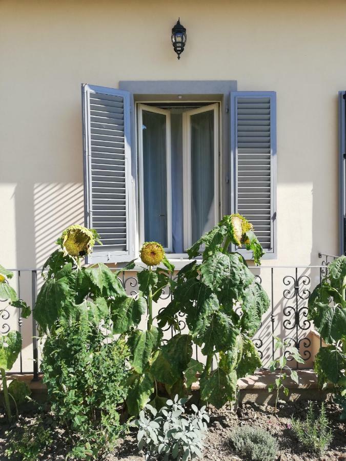 Casa Di Pietro Aretino, Arezzo Centro Storico 4-8 Letti Apartment Ngoại thất bức ảnh